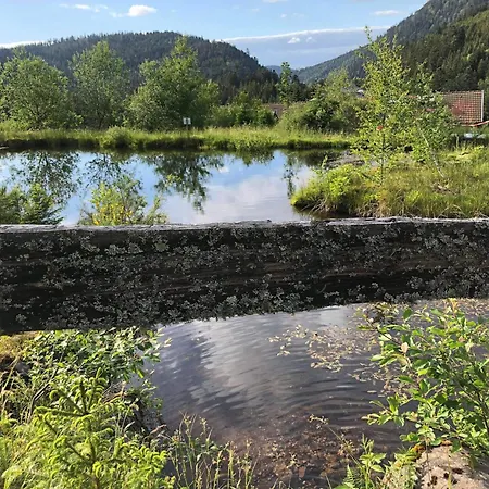 Apartmán Pour 4 Personnes - Le Grand Valtin, A 2 Pas De Xonrupt *