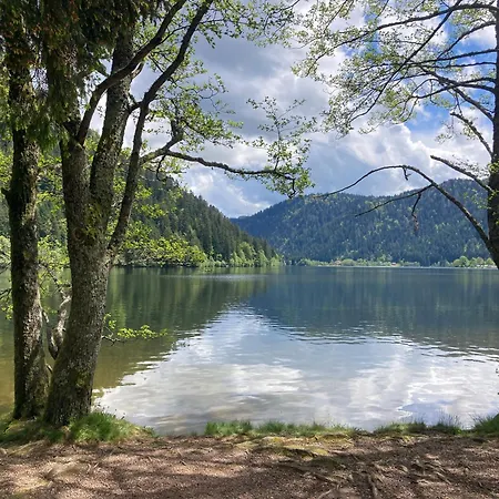 Pour 4 Personnes - Le Grand Valtin, A 2 Pas De Xonrupt *