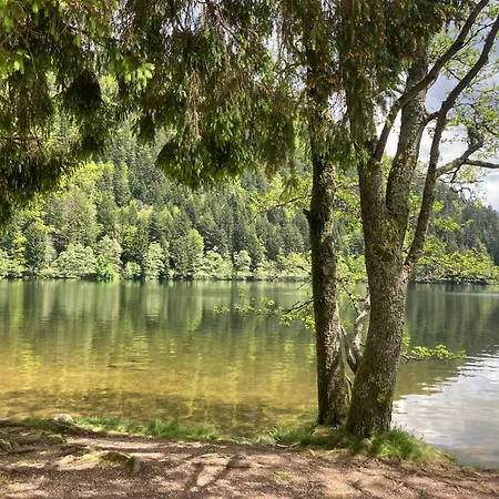 Pour 4 Personnes - Le Grand Valtin, A 2 Pas De Xonrupt *