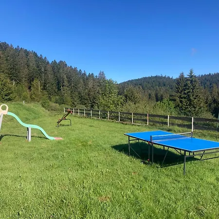 Pour 4 Personnes - Le Grand Valtin, A 2 Pas De Xonrupt *