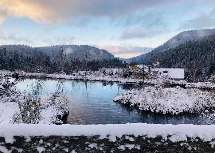 Pour 4 Personnes - Le Grand Valtin, A 2 Pas De Xonrupt *