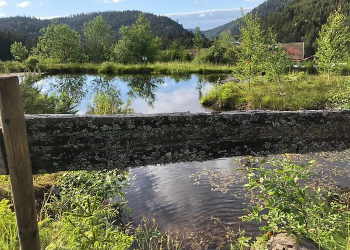 Apartmán Pour 4 Personnes - Le Grand Valtin, A 2 Pas De Xonrupt *