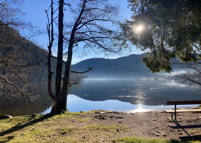 Apartmán Pour 4 Personnes - Le Grand Valtin, A 2 Pas De Xonrupt Ban-sur-Meurthe-Clefcy