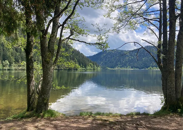 Pour 4 Personnes - Le Grand Valtin, A 2 Pas De Xonrupt *