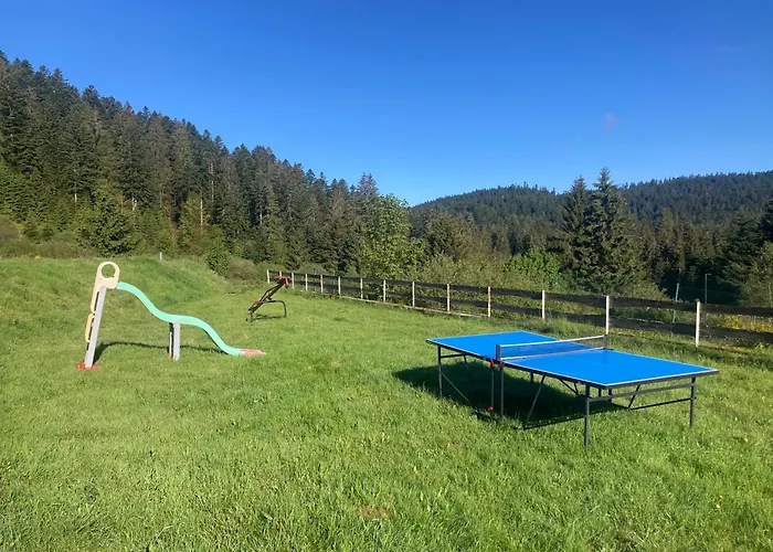 Pour 4 Personnes - Le Grand Valtin, A 2 Pas De Xonrupt *