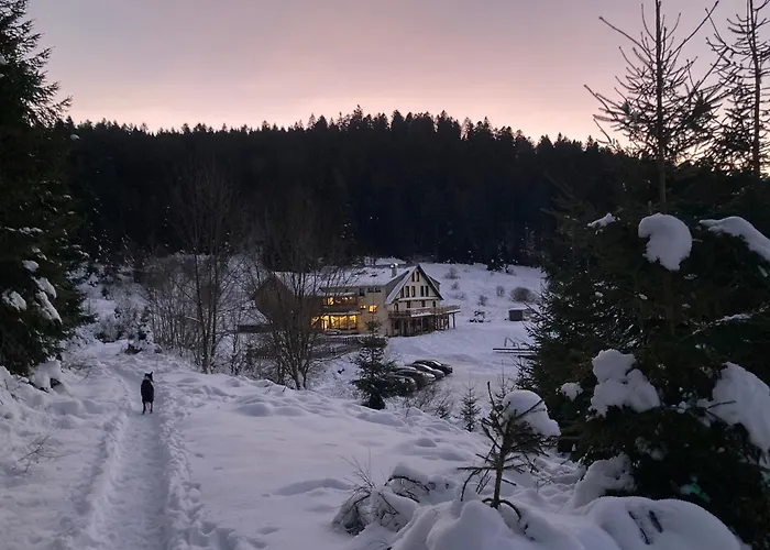 Pour 4 Personnes - Le Grand Valtin, A 2 Pas De Xonrupt Ban-sur-Meurthe-Clefcy